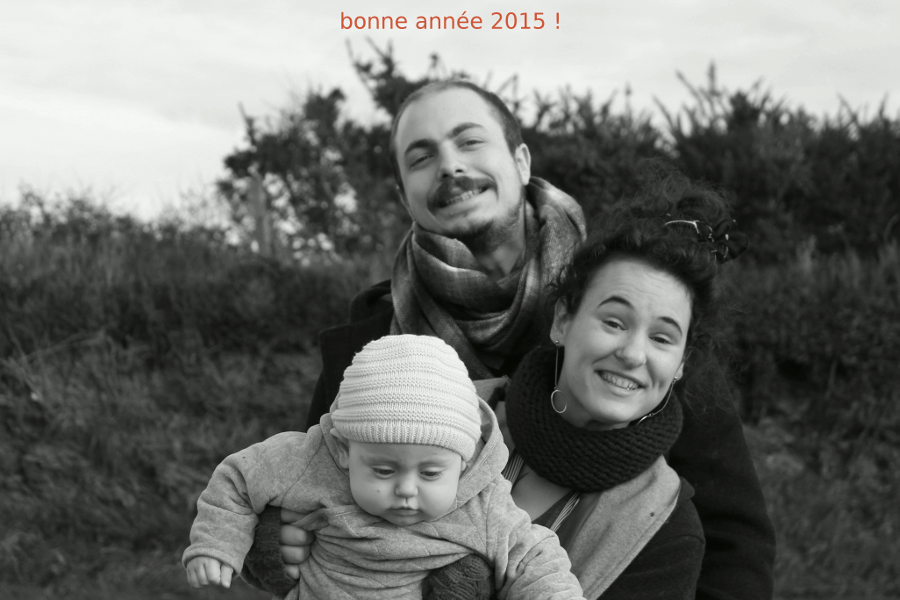 bonne année 2015