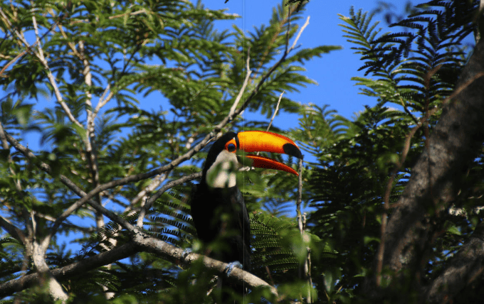 partenariat livre photo avec cheerz