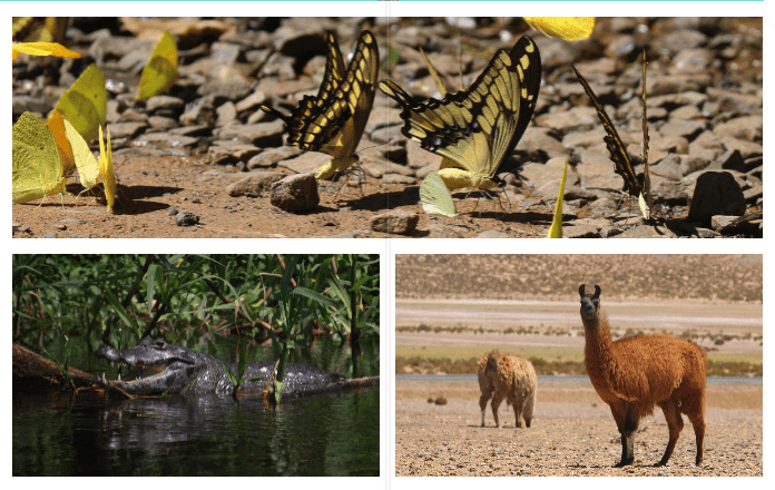 partenariat livre photo avec cheerz